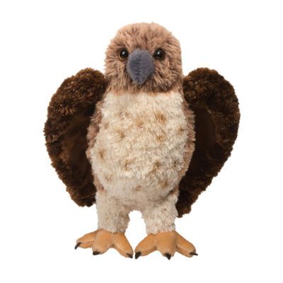 Orion Red-Tailed Hawk