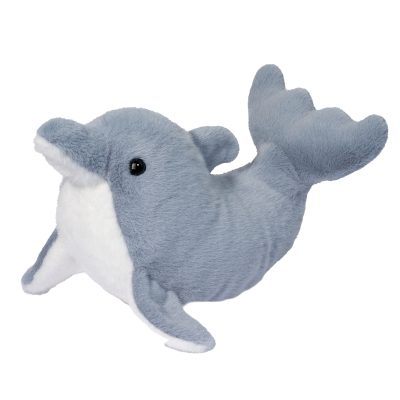 Dinghy Dolphin