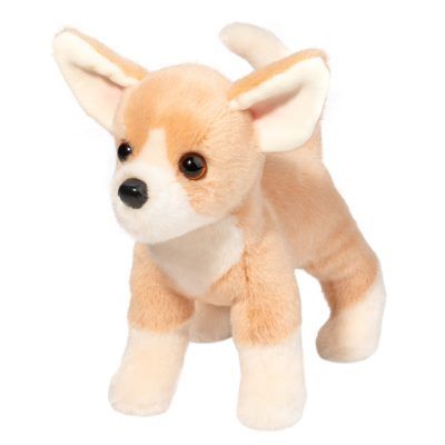 Chichi Chihuahua