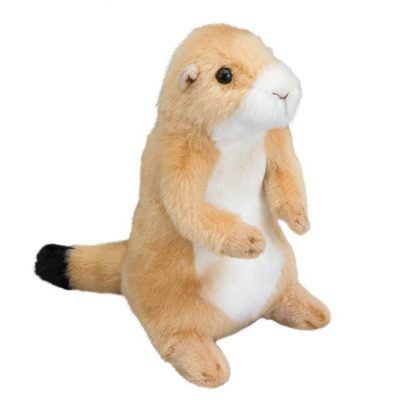 Digger Prairie Dog