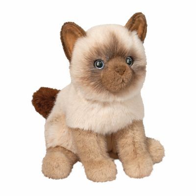 Fu Siamese Cat