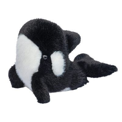 Lil' Baby Orca Whale