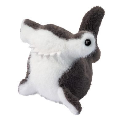 Lil' Baby Hammerhead Shark