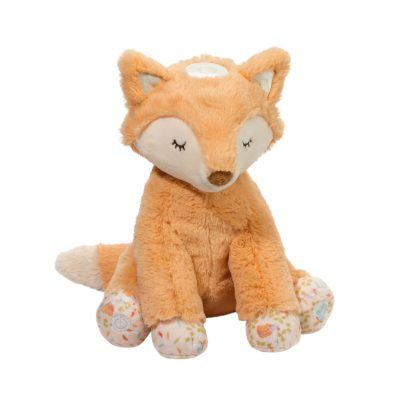 Jordan Fox Starlight Musical