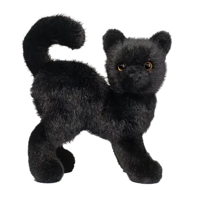 Scaredy Black Cat