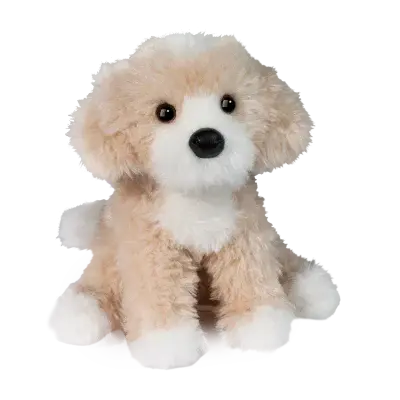 Darcy Golden Doodle